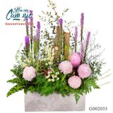 G002033