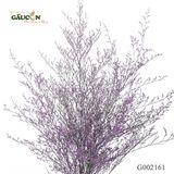 Bó sao tím G002161