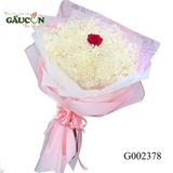 G002378 (size lớn)