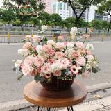 G002455