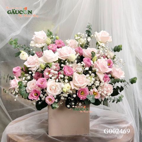 G002469
