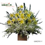 G002593-1