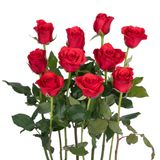 Hồng Đỏ Sa - 10 cành