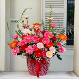 Chậu đồng tiền 39 hoa màu hồng