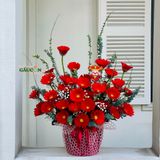 Chậu đồng tiền 39 hoa màu đỏ