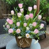 Chậu tulip 20 cành