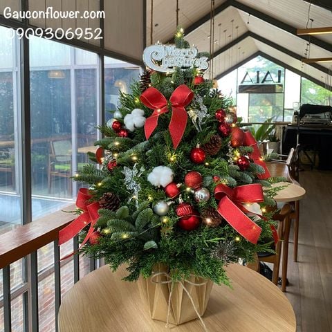 Cây thông từ lá thông Đan Mạch mix lá sơn tùng (đỏ)