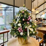 Cây thông từ lá thông Đan Mạch mix lá sơn tùng (hồng)