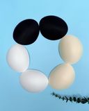  Mút Đúc Dập Lỗ Thoáng Khí Cho Áo Tập Yoga Gym Hibi Sports MUT013 - 1 Cặp 