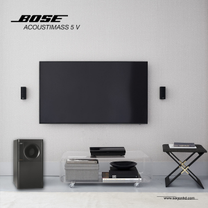 Bose Acoustimass 5 Series V