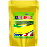  Bacillus - Us Vi sinh xử lý phèn, xử lý nước, bùn hữu cơ 