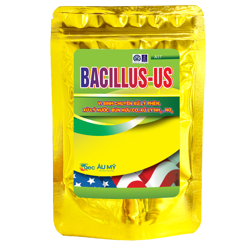  Bacillus - Us Vi sinh xử lý phèn, xử lý nước, bùn hữu cơ 