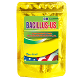  Bacillus - Us Vi sinh xử lý phèn, xử lý nước, bùn hữu cơ 