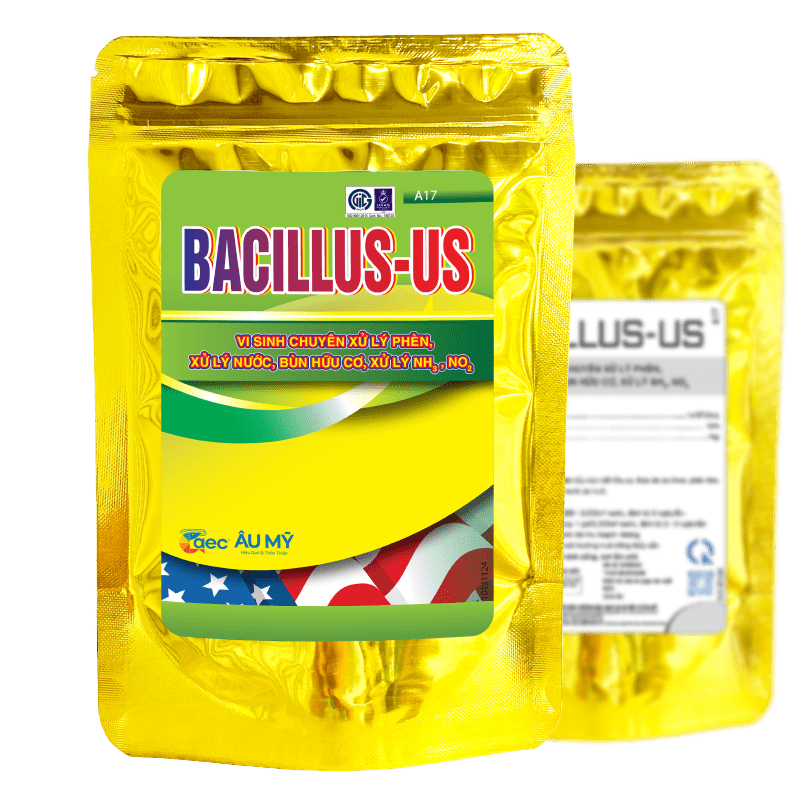  Bacillus - Us Vi sinh xử lý phèn, xử lý nước, bùn hữu cơ 