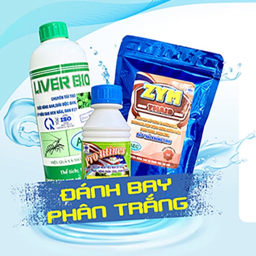 Combo bộ 3 gan ruột AEC hỗ trợ đường ruột tôm nuôi công nghiệp và công nghệ cao