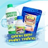  Combo bộ 3 gan ruột AEC hỗ trợ đường ruột tôm nuôi công nghiệp và công nghệ cao 