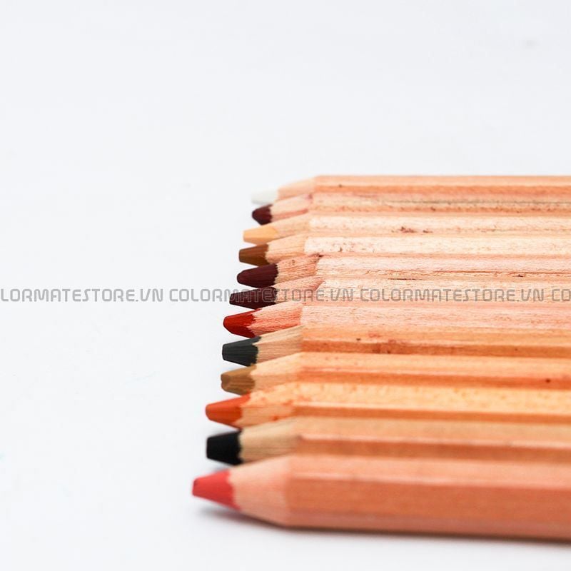Hộp 24 cây chì màu Crayola Colored Pencils  Thiên Long Shop