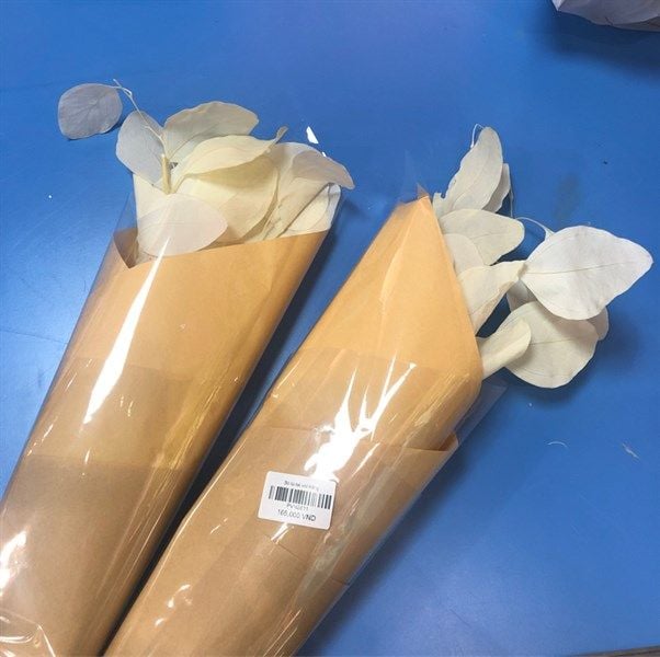  Lá tai voi 002 