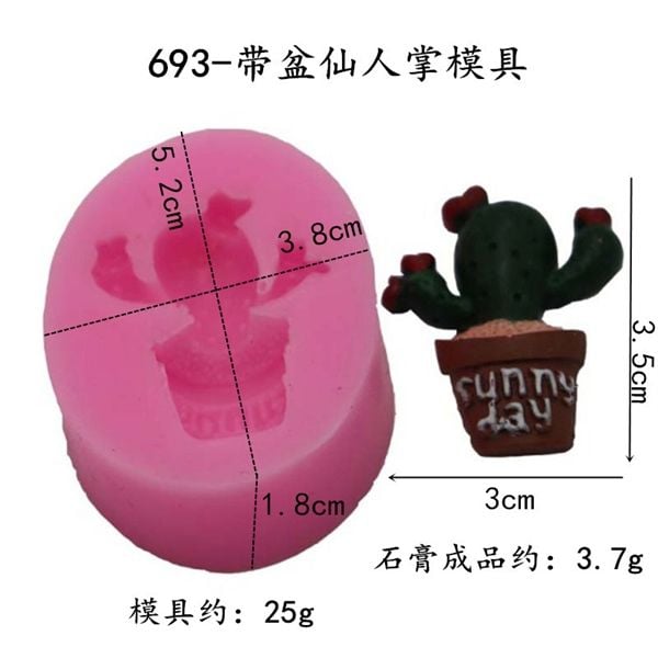  Khuôn xương rồng chậu 