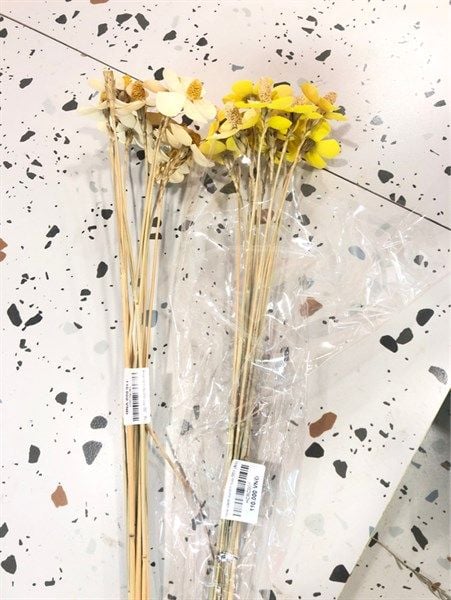  Hoa cánh bướm cụp 001 