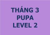  Lớp vẽ trung cấp II - Tháng 3 - Level 2 