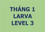  Lớp vẽ trung cấp I - Tháng 1 - Level 3 