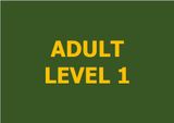  Lớp vẽ nâng cao - Level 1 