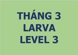  Lớp vẽ trung cấp I - Tháng 3 - Level 3 