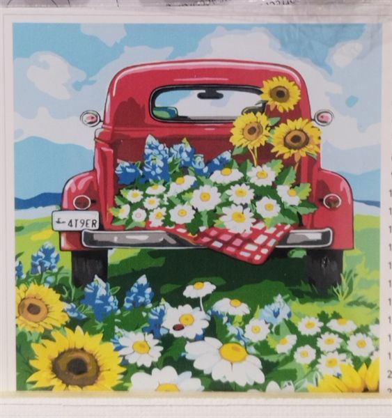  Tranh Tô Màu Số Hóa FLOWER CAR A3-Colormate 