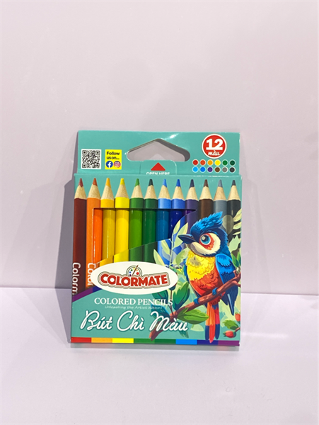  Hộp giấy 12 cây chì màu ngắn 