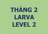  Lớp vẽ trung cấp I - Tháng 2 - Level 2 