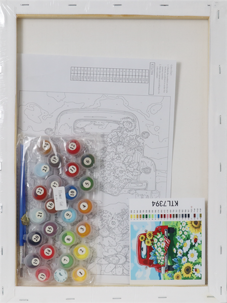  Tranh Tô Màu Số Hóa FLOWER CAR A3-Colormate 