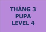  Lớp vẽ trung cấp II - Tháng 3 - Level 4 