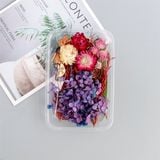  Set Hoa Khô Hộp Hoa Tím 