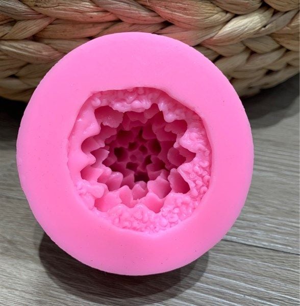  Khuôn xương rồng số 6 