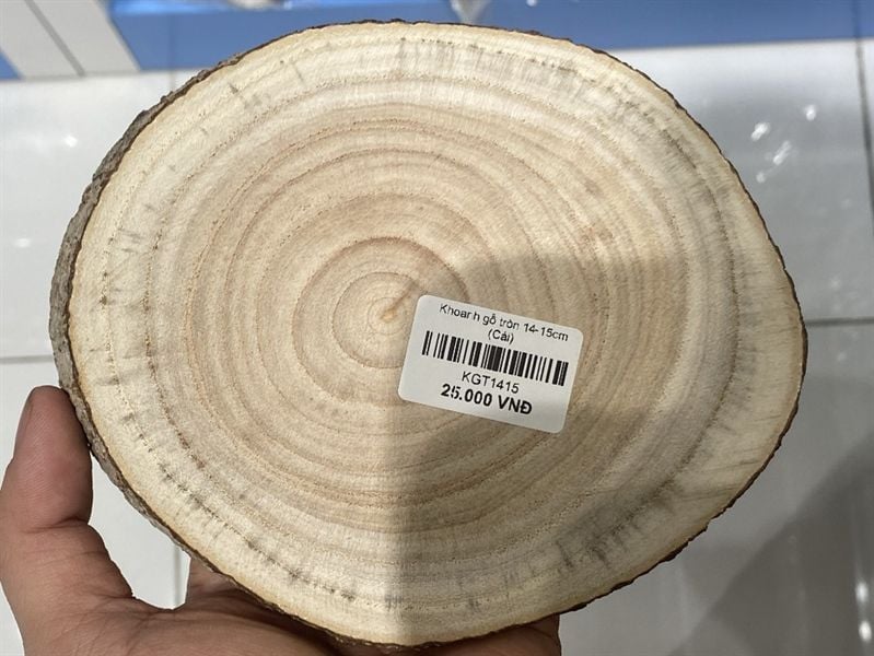  Gỗ miếng tròn 1x14cm 