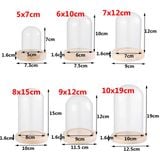  Chụp thủy tinh đế gỗ hình trụ 10x18 