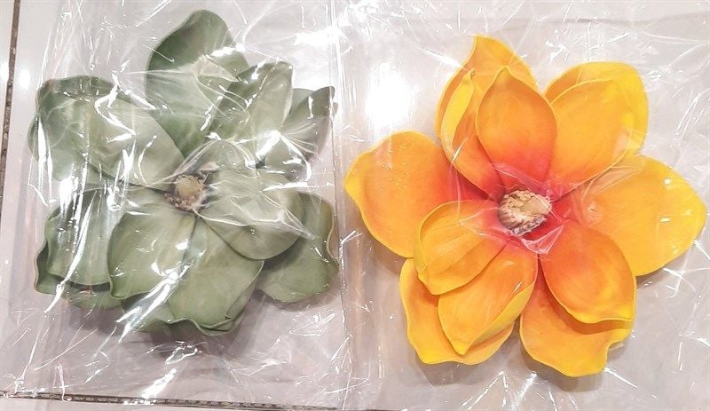  Hoa mộc lan vàng + xanh 