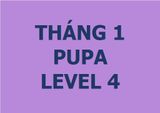  Lớp vẽ trung cấp II - Tháng 1 - Level 4 