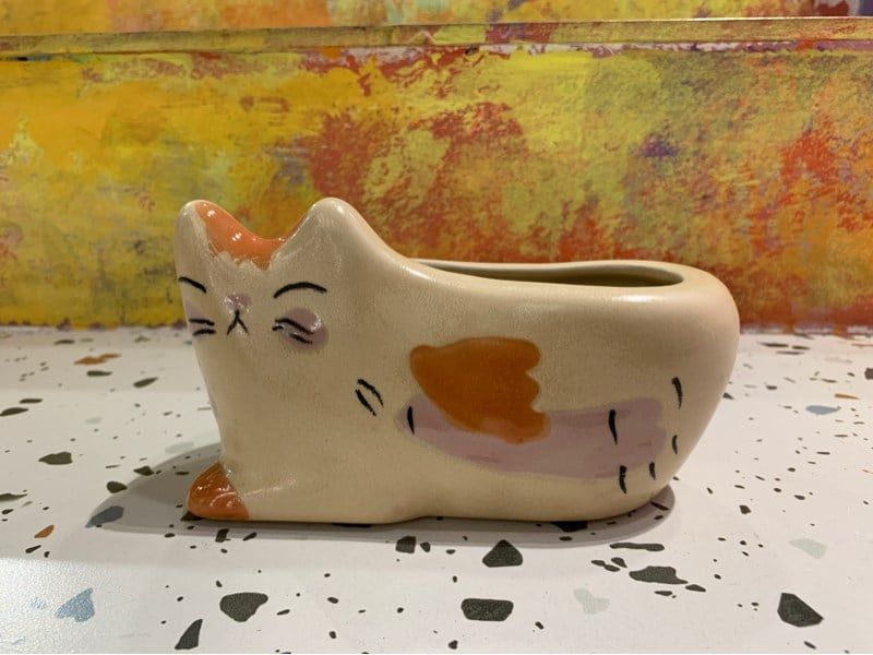  Chậu mèo kem 16x7cm 