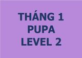  Lớp vẽ trung cấp II - Tháng 1 - Level 2 