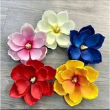  Hoa mộc lan đỏ 