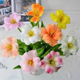  Hoa sáp tulip nở 