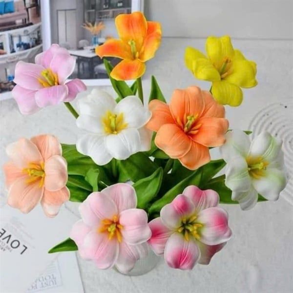  Hoa sáp tulip nở 