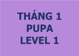  Lớp vẽ trung cấp II - Tháng 1 - Level 1 