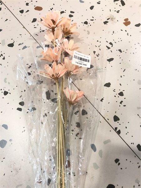  Hoa cánh bướm 001 