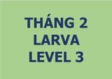  Lớp vẽ trung cấp I - Tháng 2 - Level 3 
