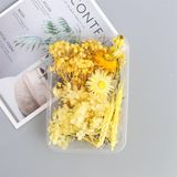  Set Hoa Khô Hộp Hoa Vàng 