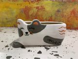  Chậu mèo xám 15x7cm 