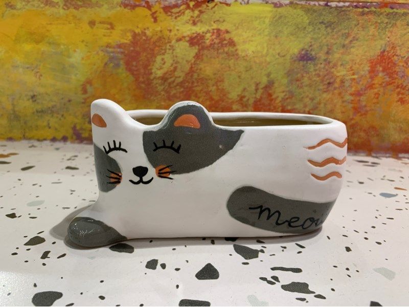  Chậu mèo xám 15x7cm 